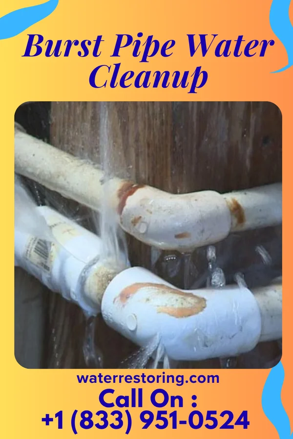 Burst Pipe Water Cleanup in Forsyth, MO